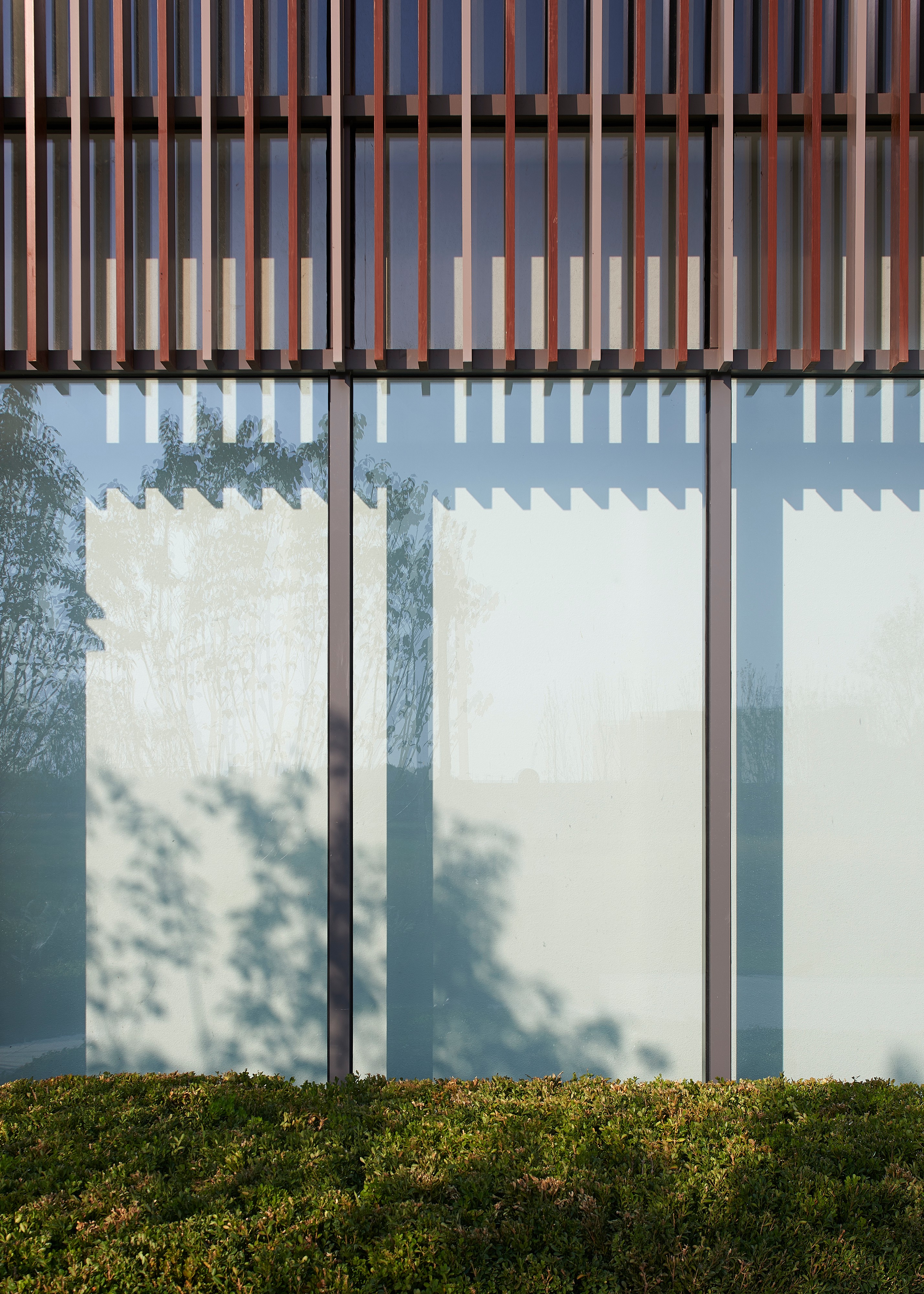 1603697697453840.jpg _DSC0882.jpg