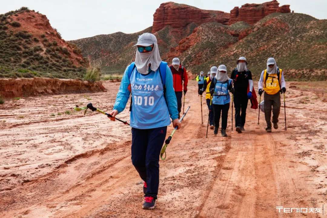 1603699830425365.jpg 4.jpg