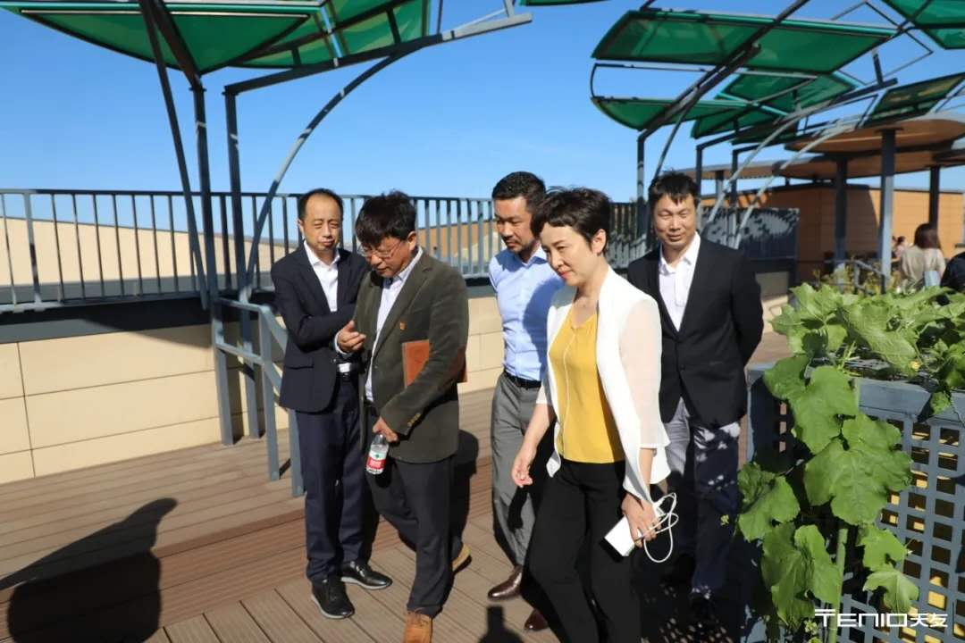 1603701207316755.jpg 6.jpg