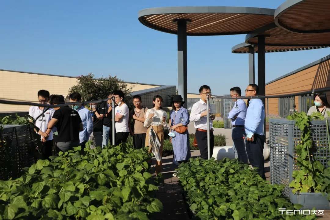 1603701214144437.jpg 7.jpg