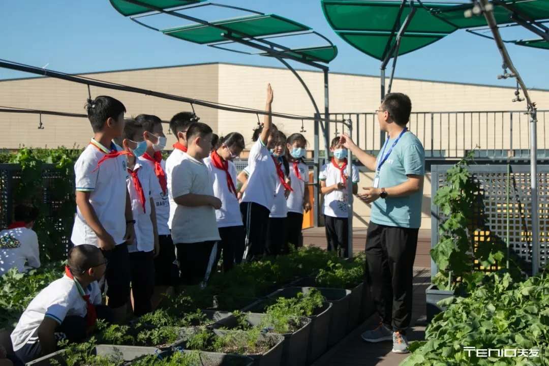 1603701240915961.jpg 10.jpg