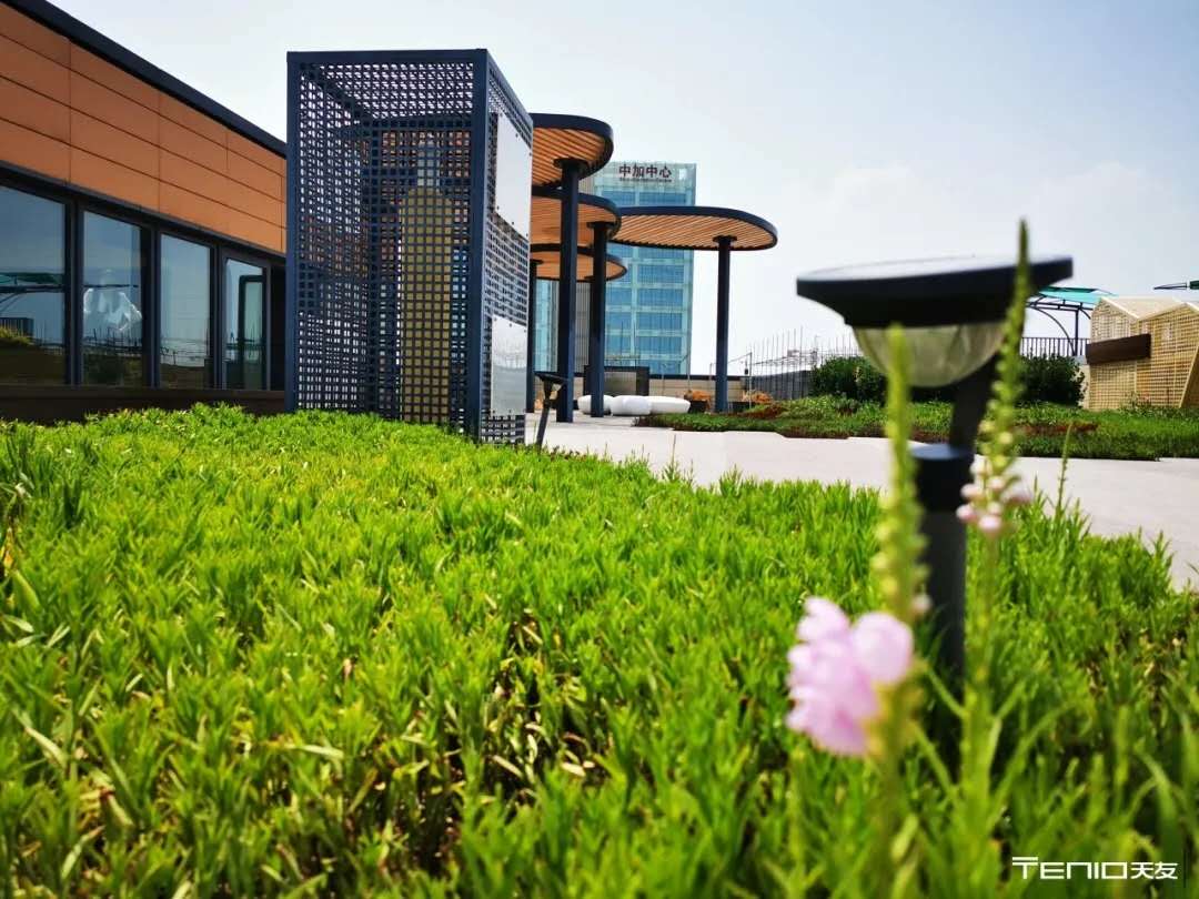 1603701258755332.jpg 12.jpg