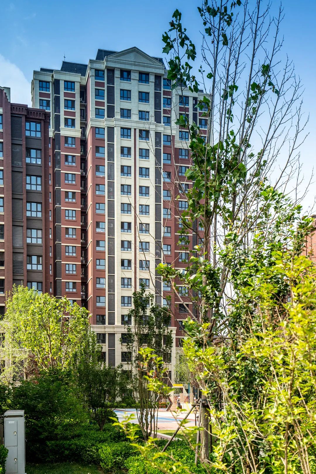 1663223167335602.jpg 18.jpg