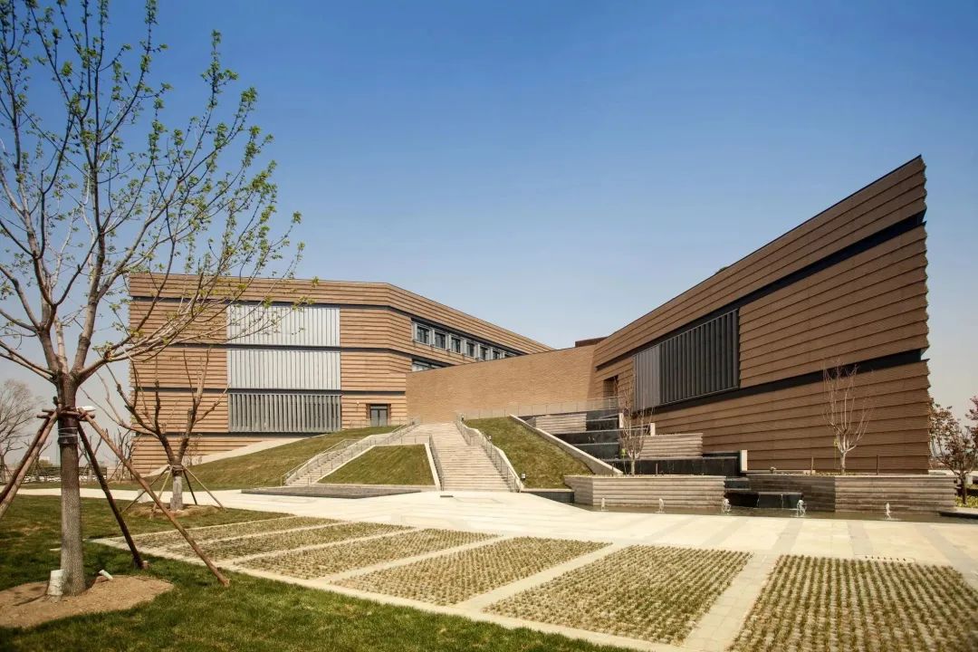 1677462842105060.jpg 10.jpg